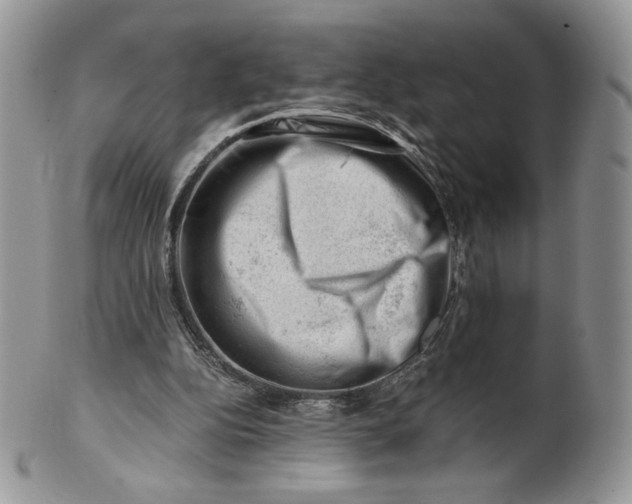 X0000101960152200808011115