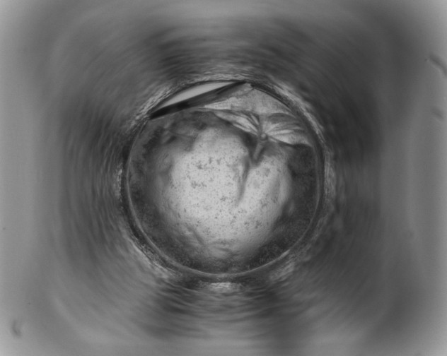 X0000101960153200808011115