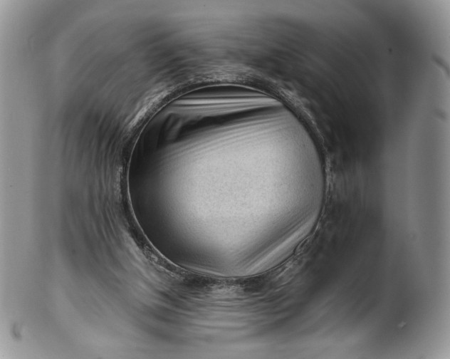 X0000101960154200808011115