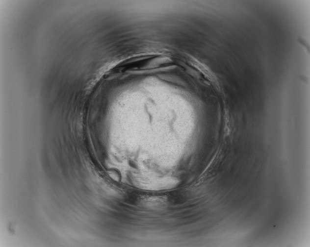 X0000101960155200808011116