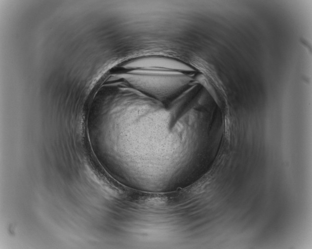 X0000101960156200808011116