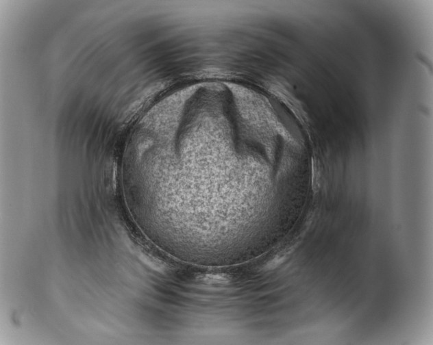 X0000101960157200808011116