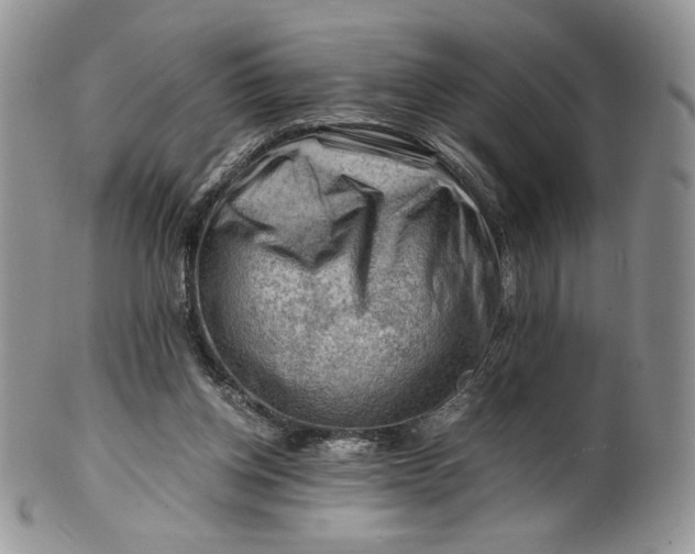 X0000101960158200808011116