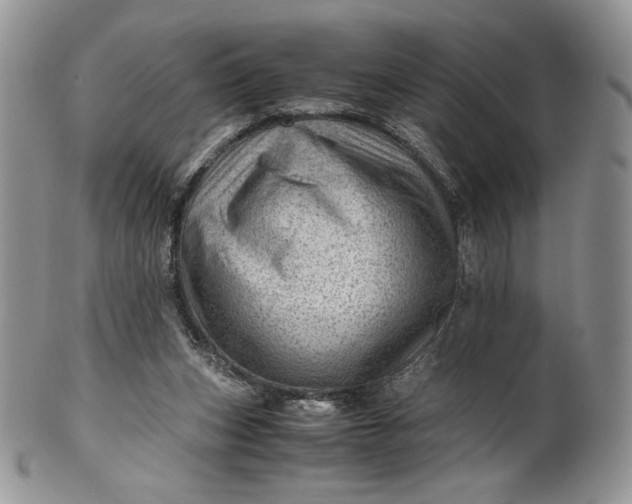 X0000101960159200808011116