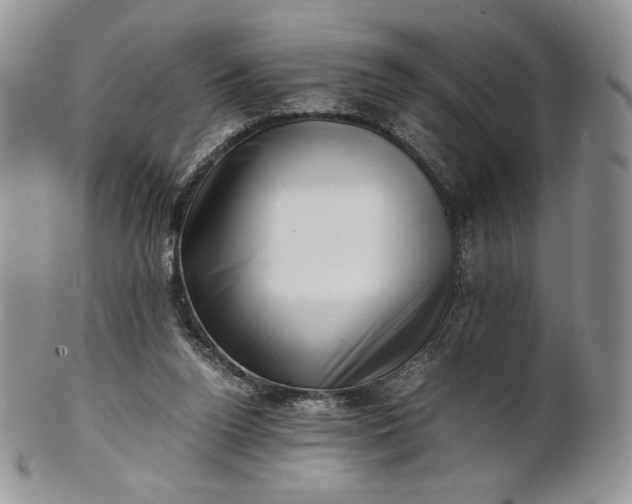 X0000101960160200808011116