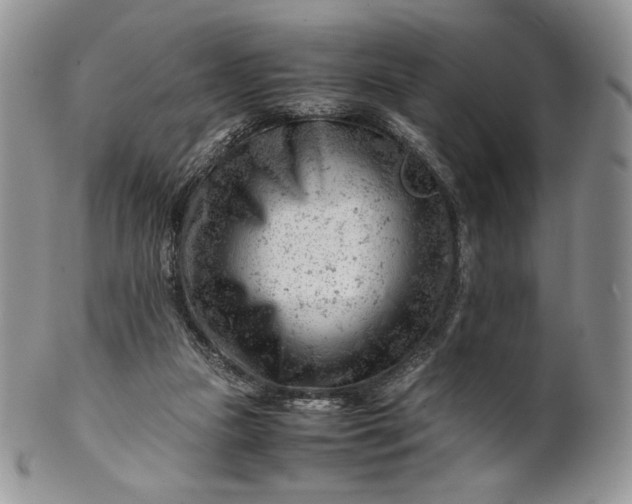 X0000101960161200808011116