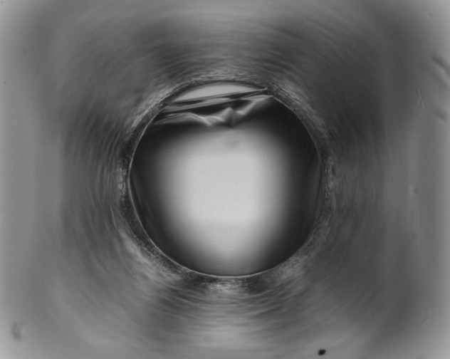 X0000101960164200808011116