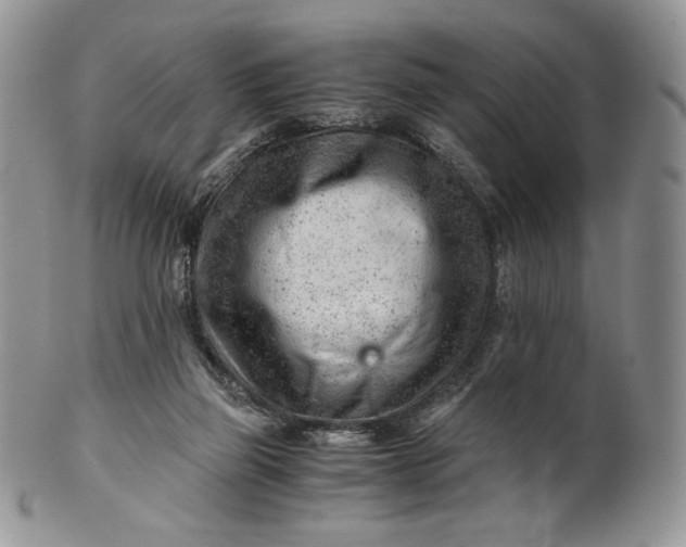 X0000101960165200808011116