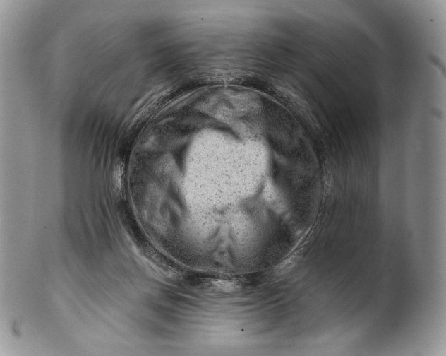 X0000101960166200808011116