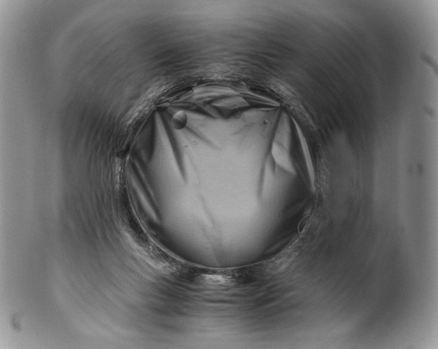 X0000101960167200808011116