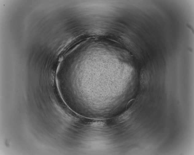 X0000101960168200808011116