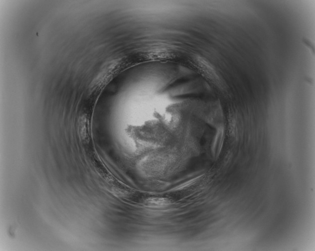 X0000101960169200808011116