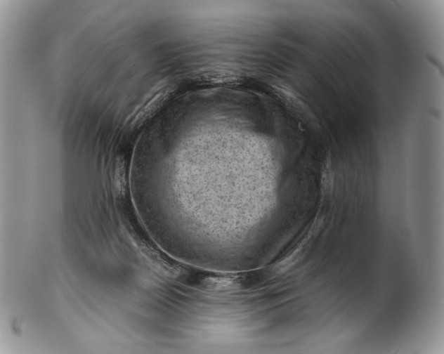 X0000101960170200808011116