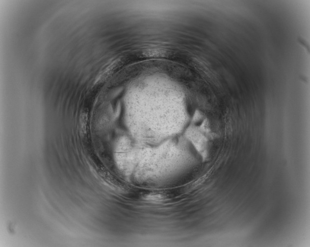 X0000101960171200808011116