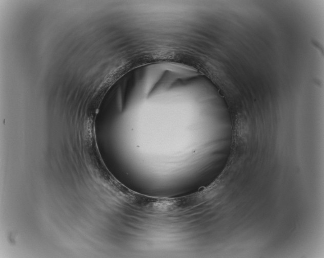 X0000101960172200808011116