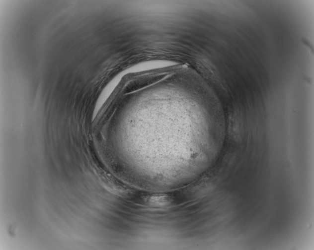 X0000101960173200808011116