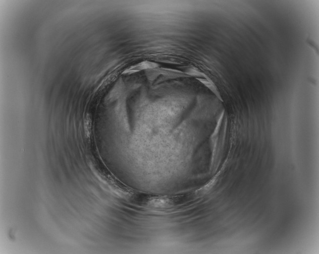 X0000101960174200808011116