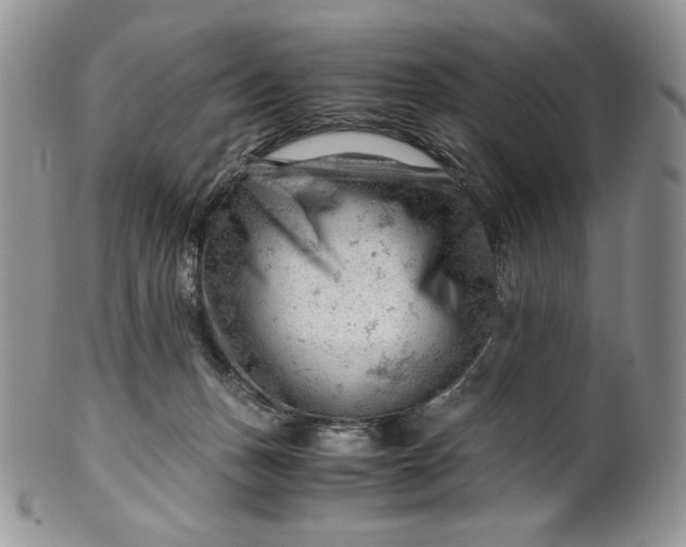 X0000101960175200808011116