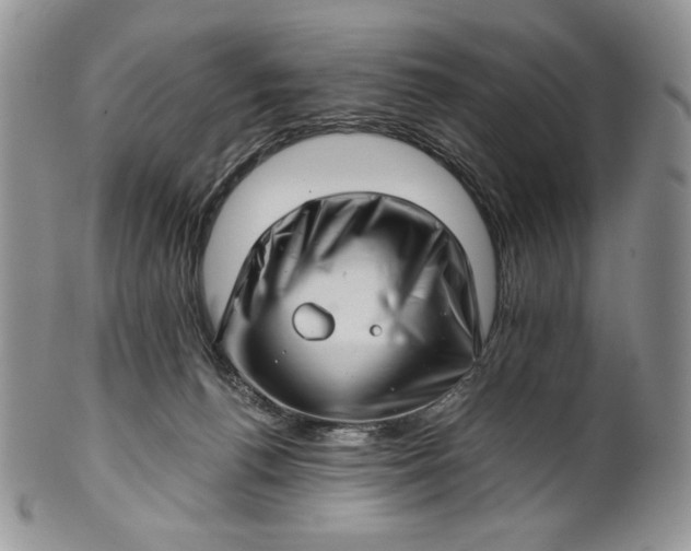 X0000101960176200808011116