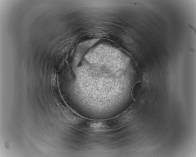 X0000101960177200808011116