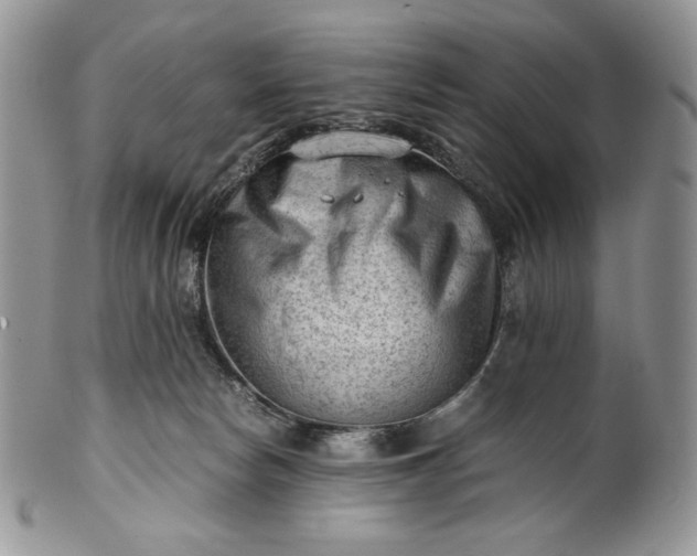 X0000101960178200808011116