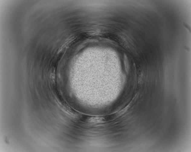 X0000101960179200808011116