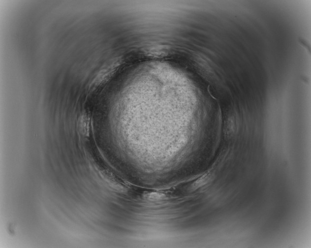 X0000101960180200808011116