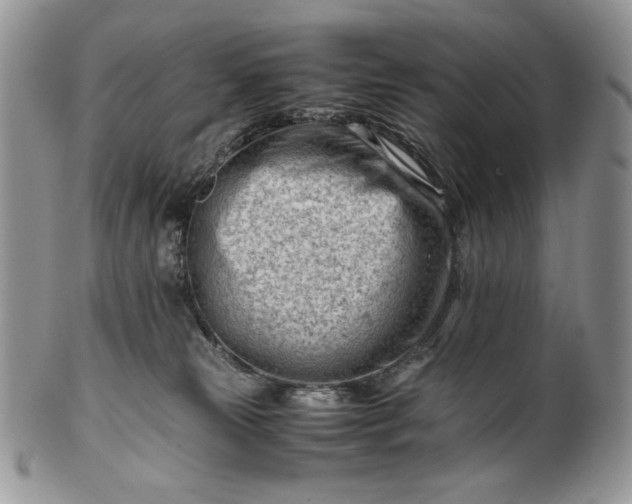 X0000101960181200808011116