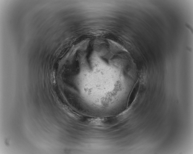 X0000101960182200808011116