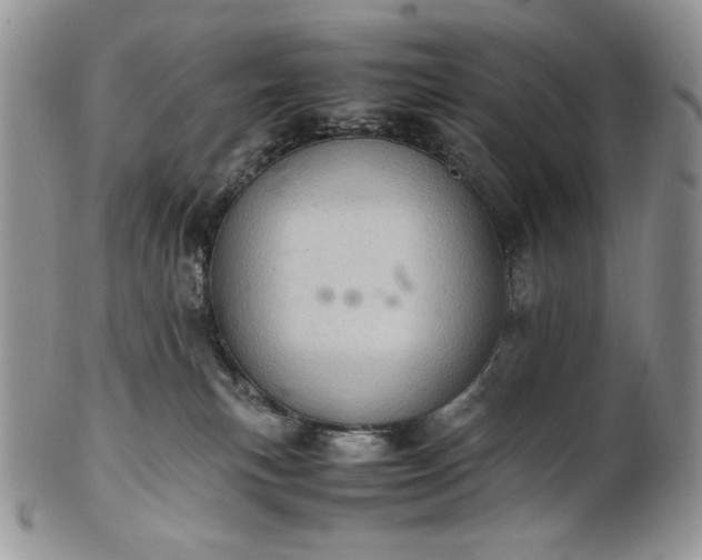 X0000101960183200808011116