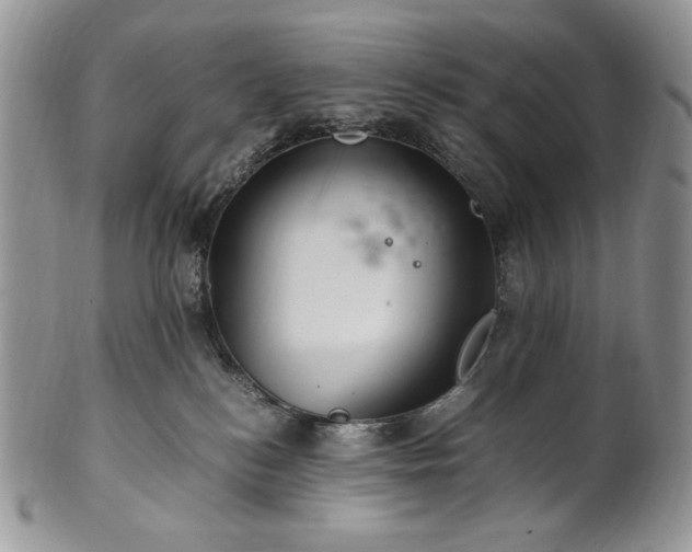 X0000101960184200808011116