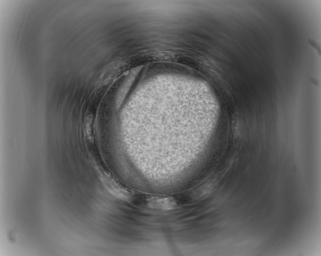 X0000101960185200808011116