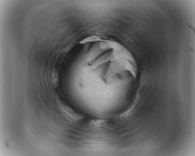 X0000101960186200808011116