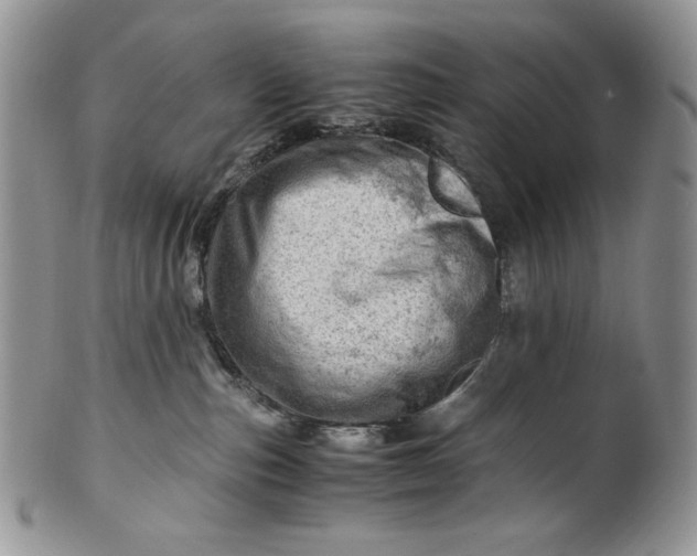 X0000101960187200808011116