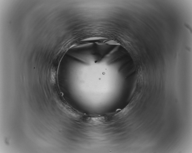 X0000101960188200808011116