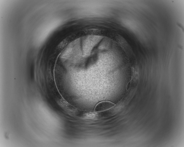 X0000101960189200808011116