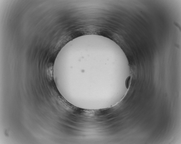 X0000101960190200808011116