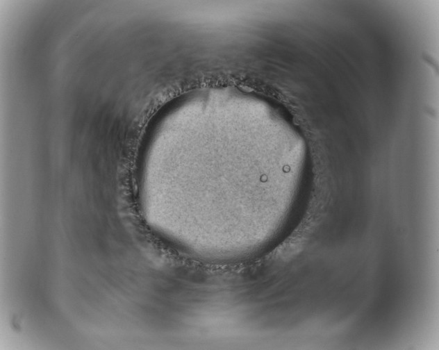 X0000101960192200808011116