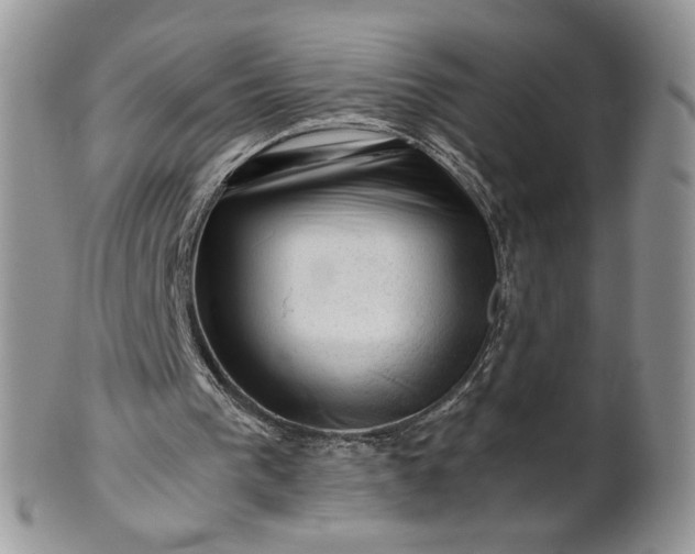 X0000101960193200808011115