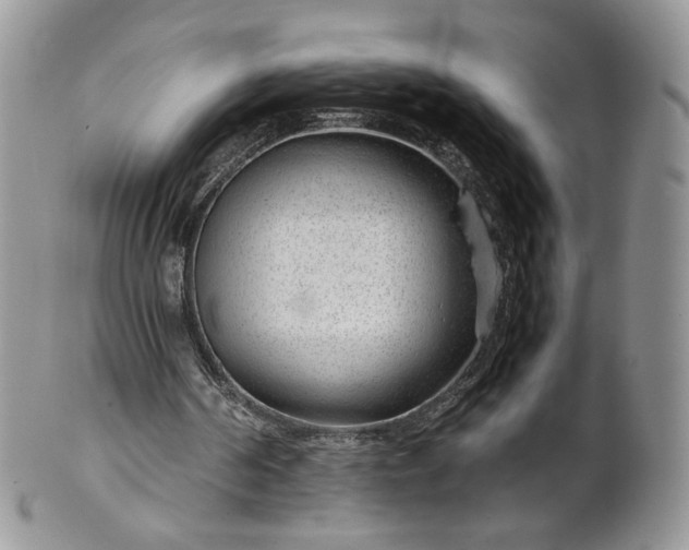 X0000101960194200808011115