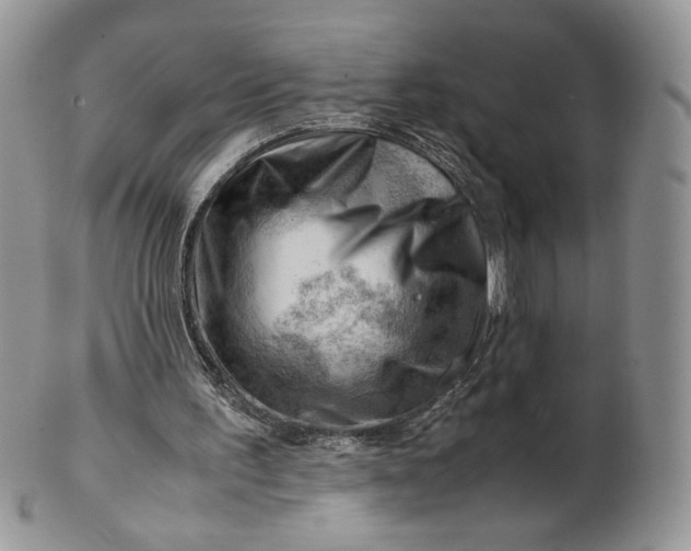 X0000101960195200808011115