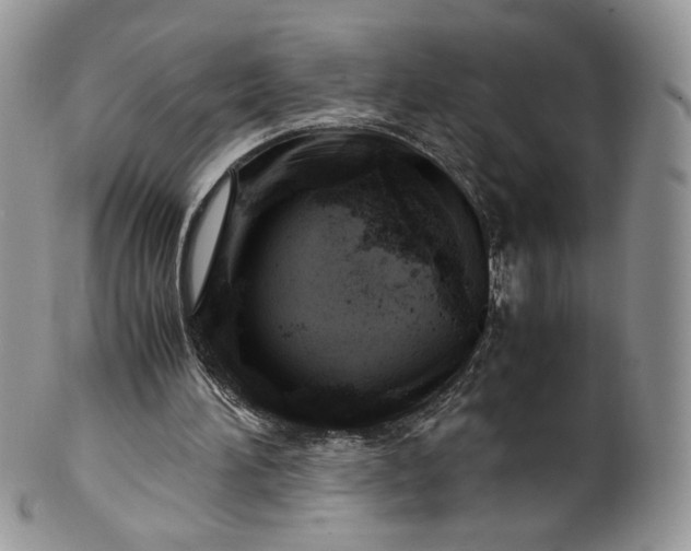 X0000101960196200808011115