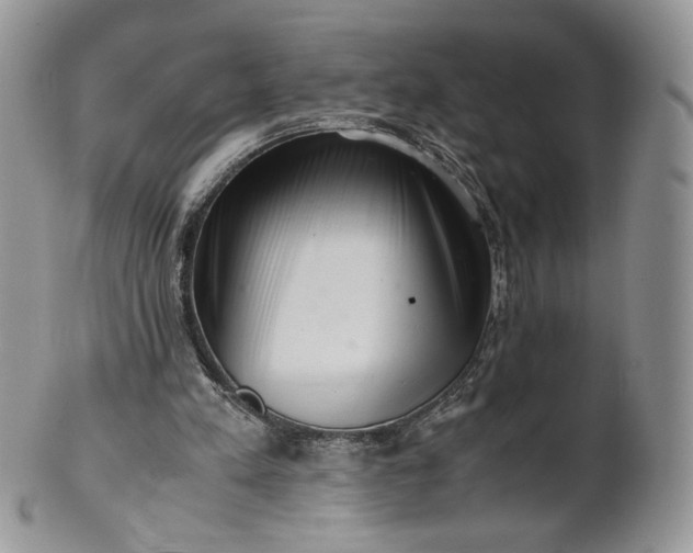 X0000101960197200808011115