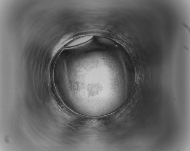 X0000101960198200808011115