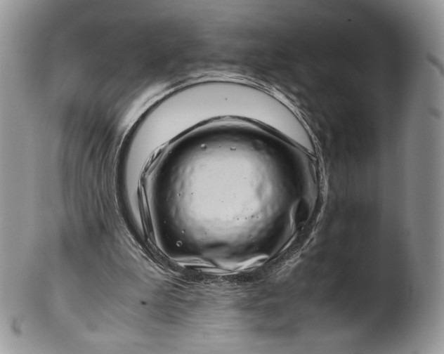 X0000101960199200808011115