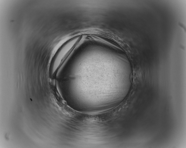 X0000101960200200808011115