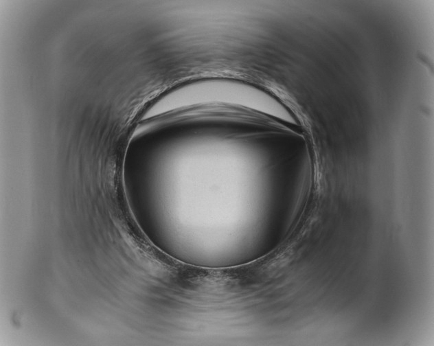 X0000101960201200808011115