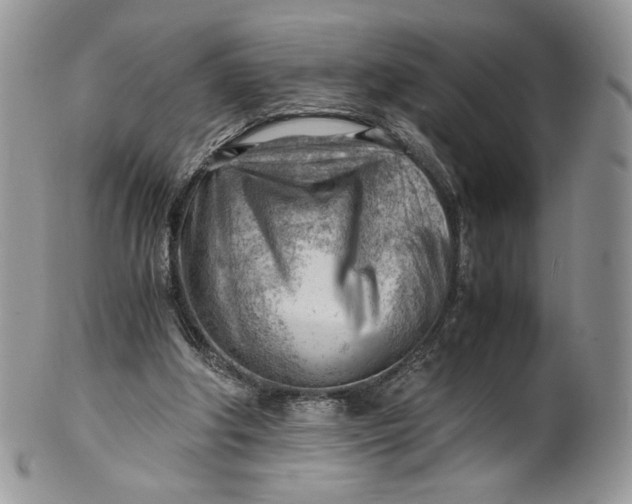 X0000101960202200808011115