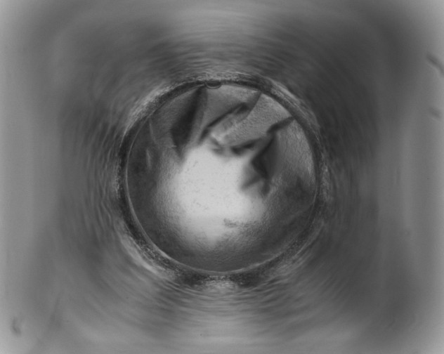 X0000101960203200808011115