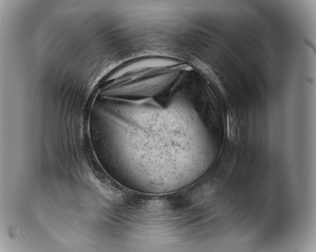 X0000101960204200808011115